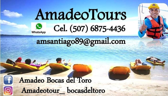 Logo de Amadeo Tours